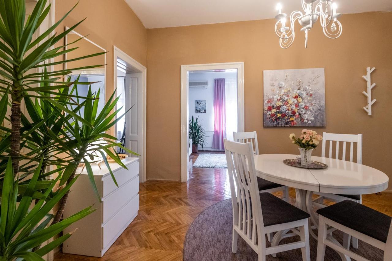 Neimar Apartment With Great Wi-Fi And Free Parking Belgrado Esterno foto